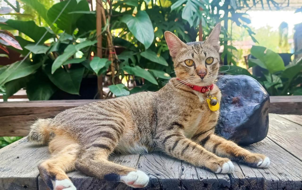 Baan Canalee Phra Nakhon Si Ayutthaya Zewnętrze zdjęcie
